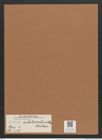 Navicula subrhomboidea Castrac. (de-Toni-Nr.: Genus 1, Species 719) Zeichnungen Sammlung Grunow Mappe 00591 (Herbarium_W_Grunow_drawings_Folder_00591)